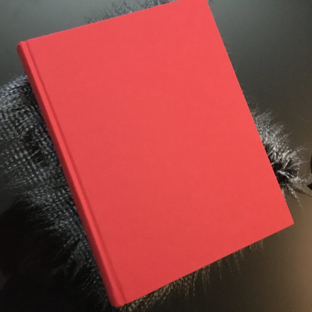 Abrams Printed in Japan Cloth Hardcover Art Book OS